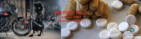 крисы Алзамай