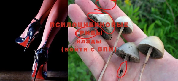 стафф Абаза