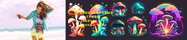 стафф Абаза