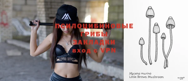 шишки Абинск
