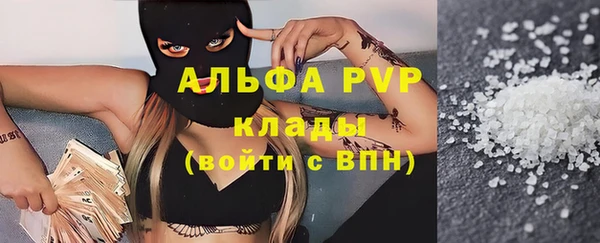 шишки Абинск