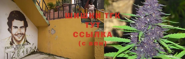 стафф Абаза